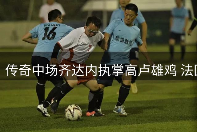 传奇中场齐达内执掌高卢雄鸡 法国足球迎来新时代