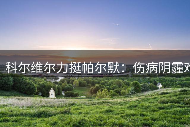 科尔维尔力挺帕尔默：伤病阴霾难掩天才光芒 蓝军更衣室信心爆棚
